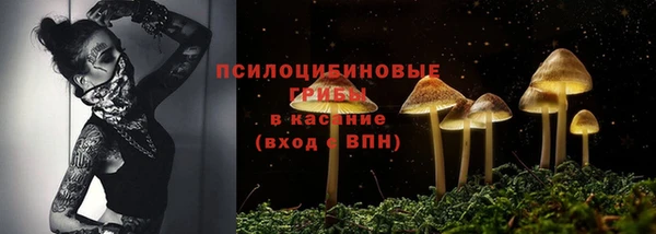 гидропоника Белоозёрский