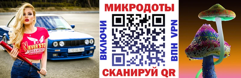 Псилоцибиновые грибы Psilocybe  Купить закладки  Вязники 