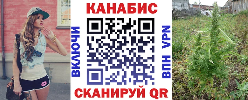Купить  Вязники  Канабис MAZAR 